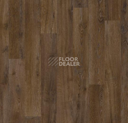 Ковролин Forbo Flotex Vision Naturals 010055 Chestnut фото 1 | FLOORDEALER